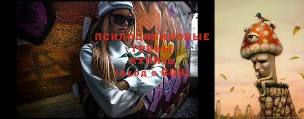 мет Алексин